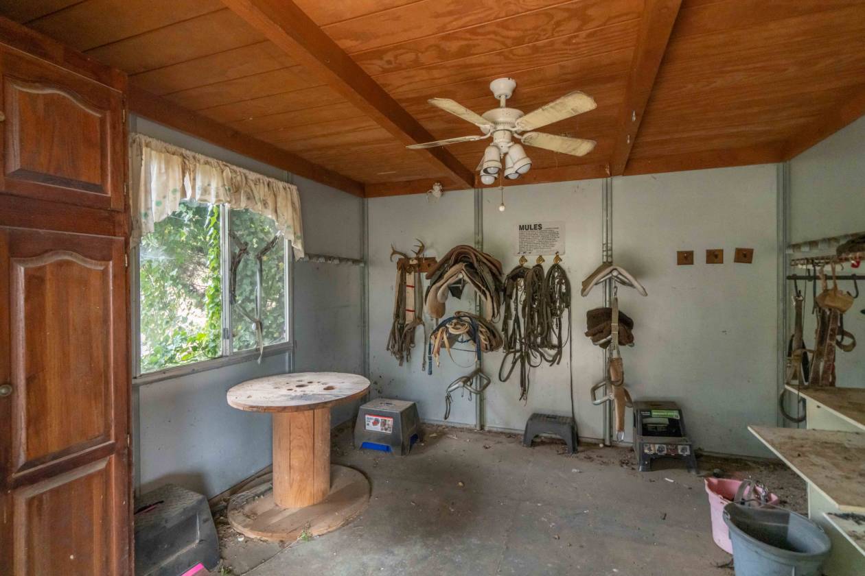 Over 38 Acres Ready for Horses and Priced to Sell! - photo 7