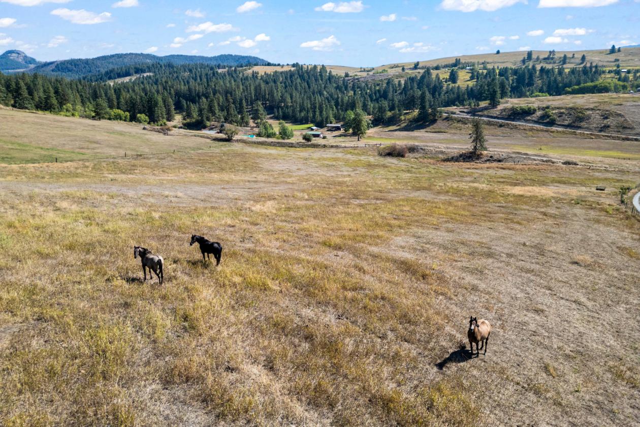 39 acre equestrian property!!! - photo 24