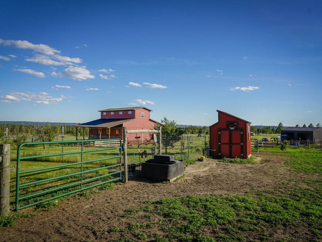 Horse ranch for sale Roundup, Musselshell County, Montana