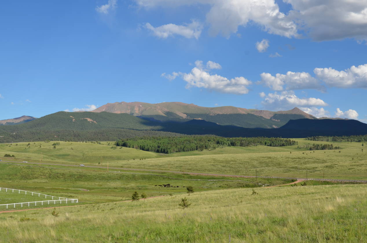 Colorado Equestrian Property Divide, Teller County, Colorado \ Horse