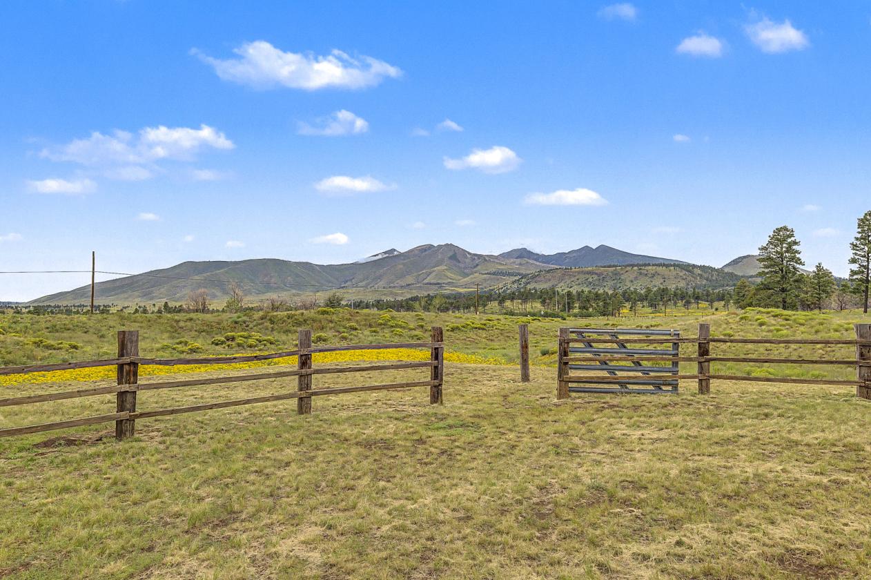 Horse Property on Nearly 4 Acres - photo 14