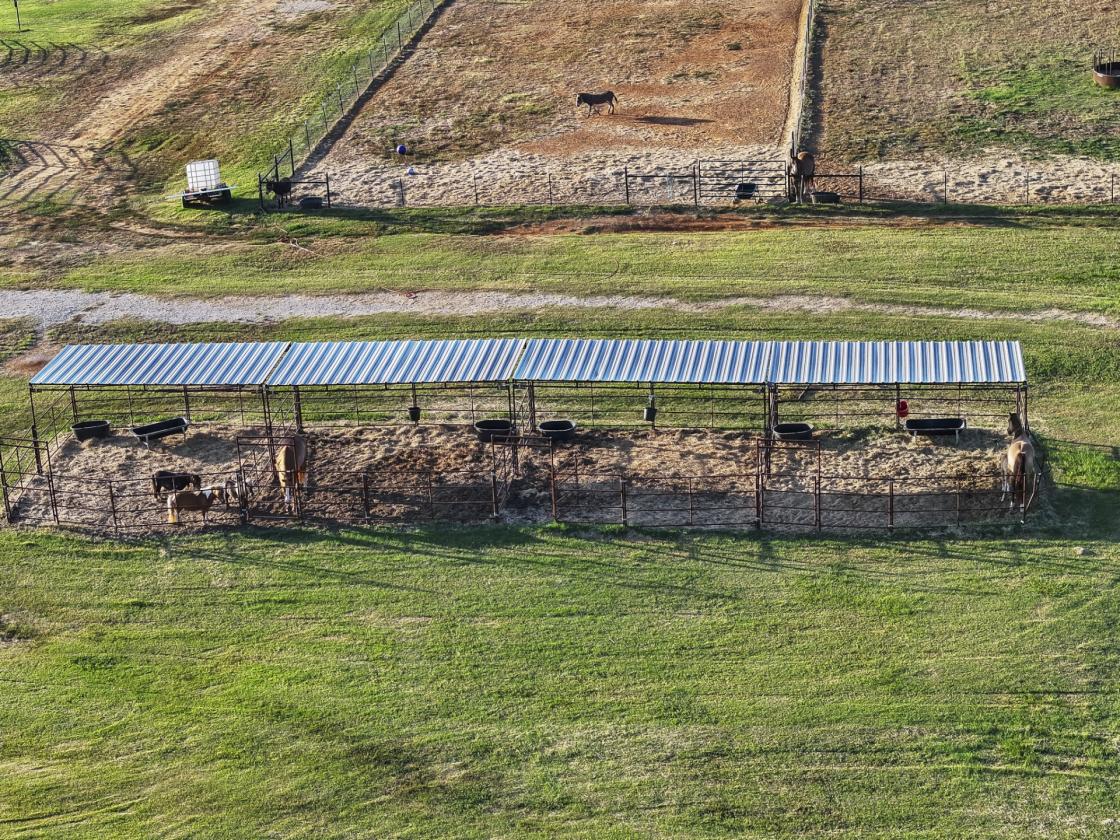 Perfect horse property just minutes from DFW - photo 7