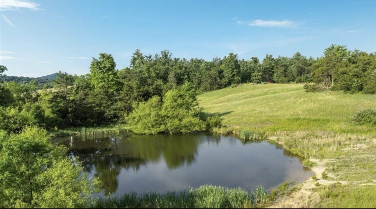 LINDHAVEN MANOR & FARM ESTATE 93 SCENIC ACRES - photo 2