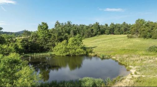 Property image.