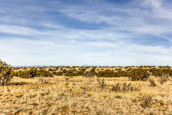 155 VIEW Acres - photo 16