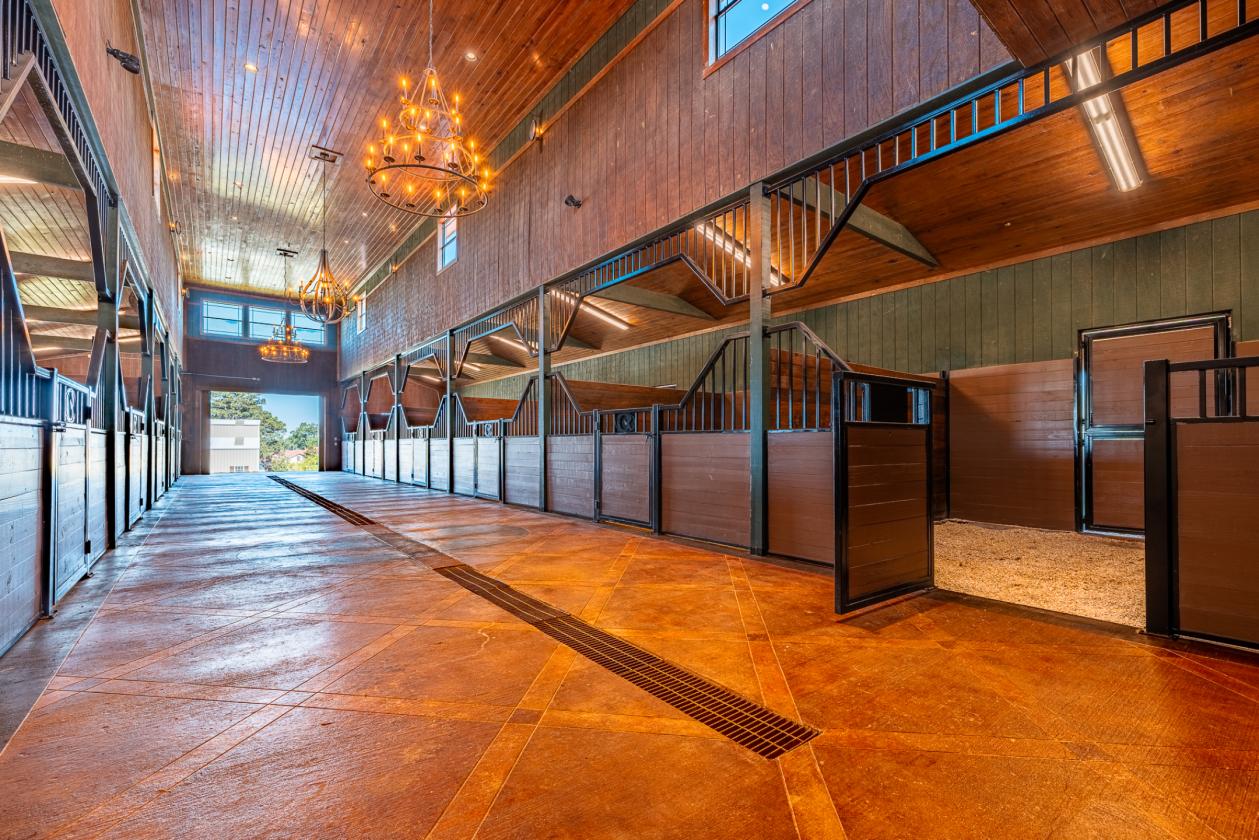 Luxury Equestrian Estate - photo 4