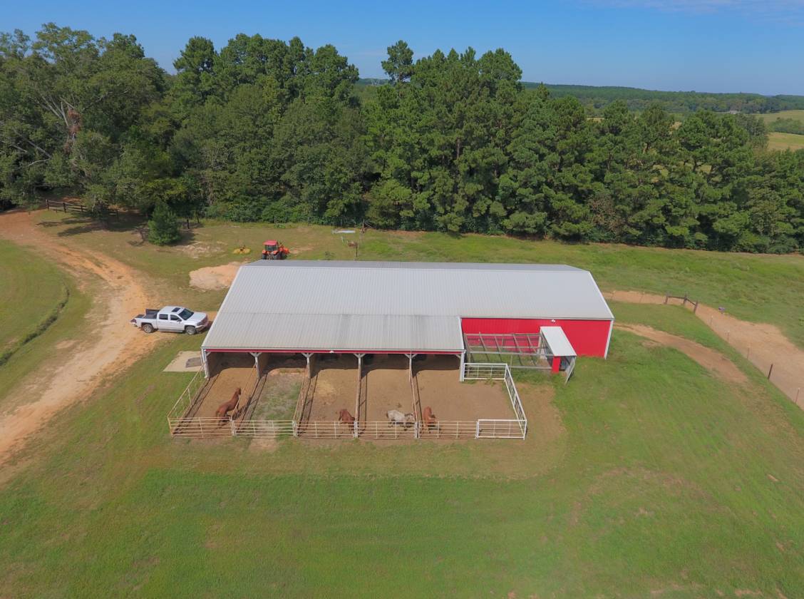 48.96 acre Horse Farm in Nacogdoches County Nacogdoches, Nacogdoches County, Texas