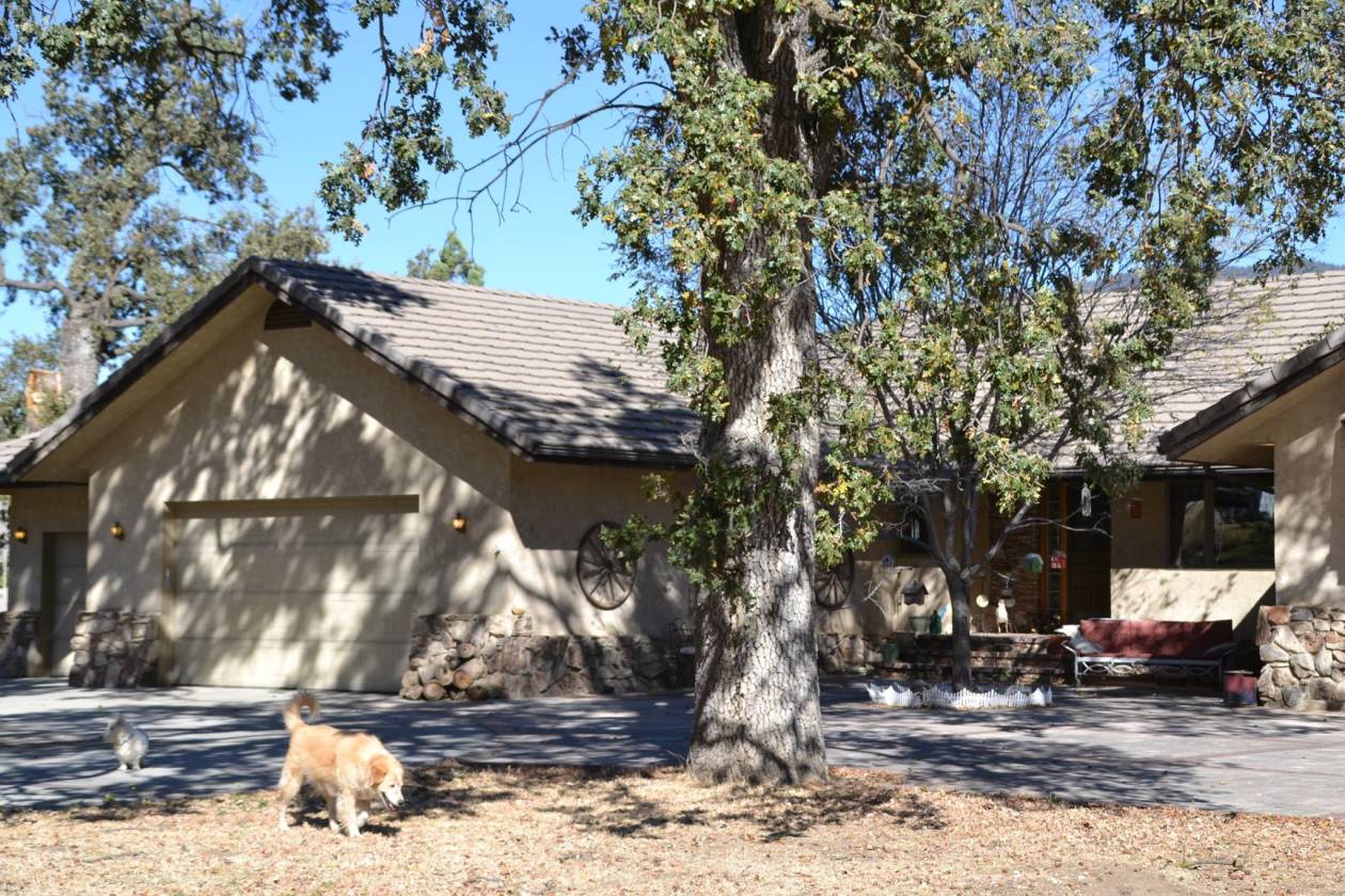 The Ultimate Horse Facility in Exclusive Bear Valley Springs, CA Bear