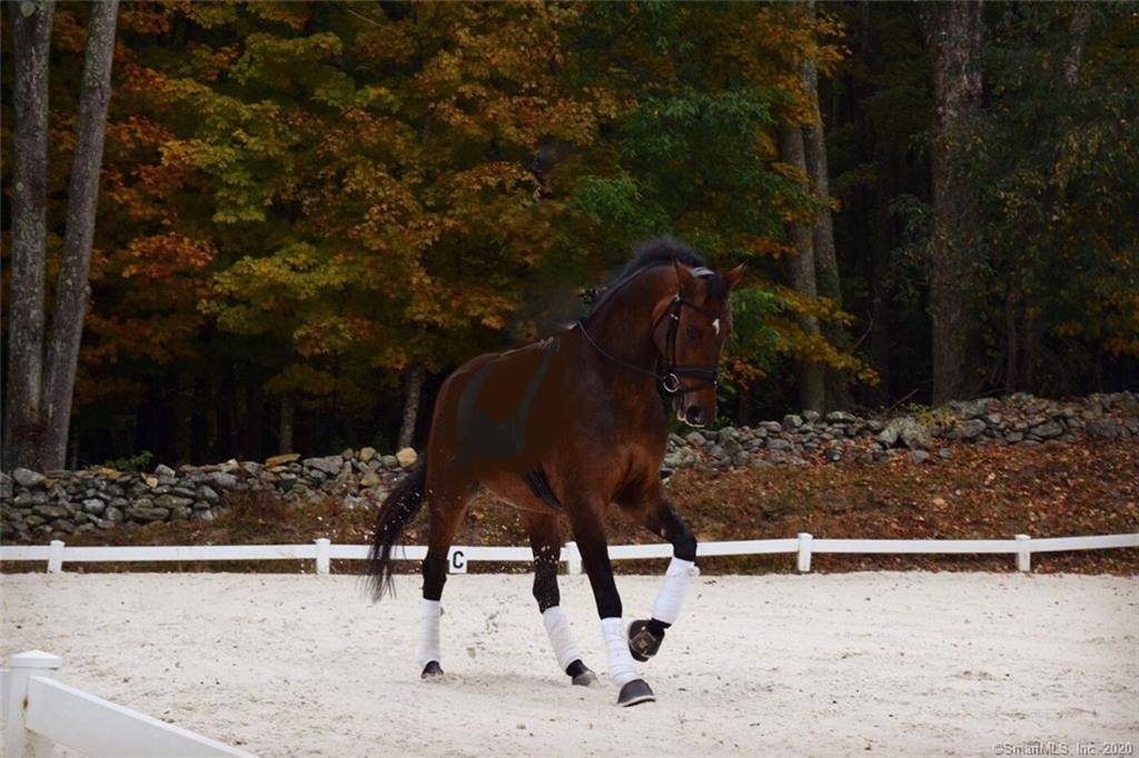 Stoney Brook Farm Woodbury, Litchfield County, Connecticut