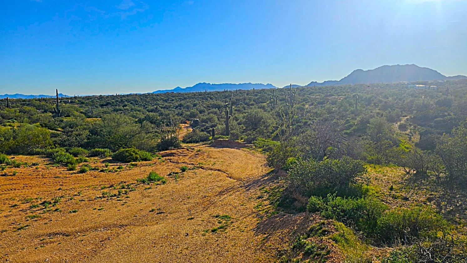 ACREAGE- NATIONAL FOREST FRONTAGE, PRIVATE WELL - photo 6