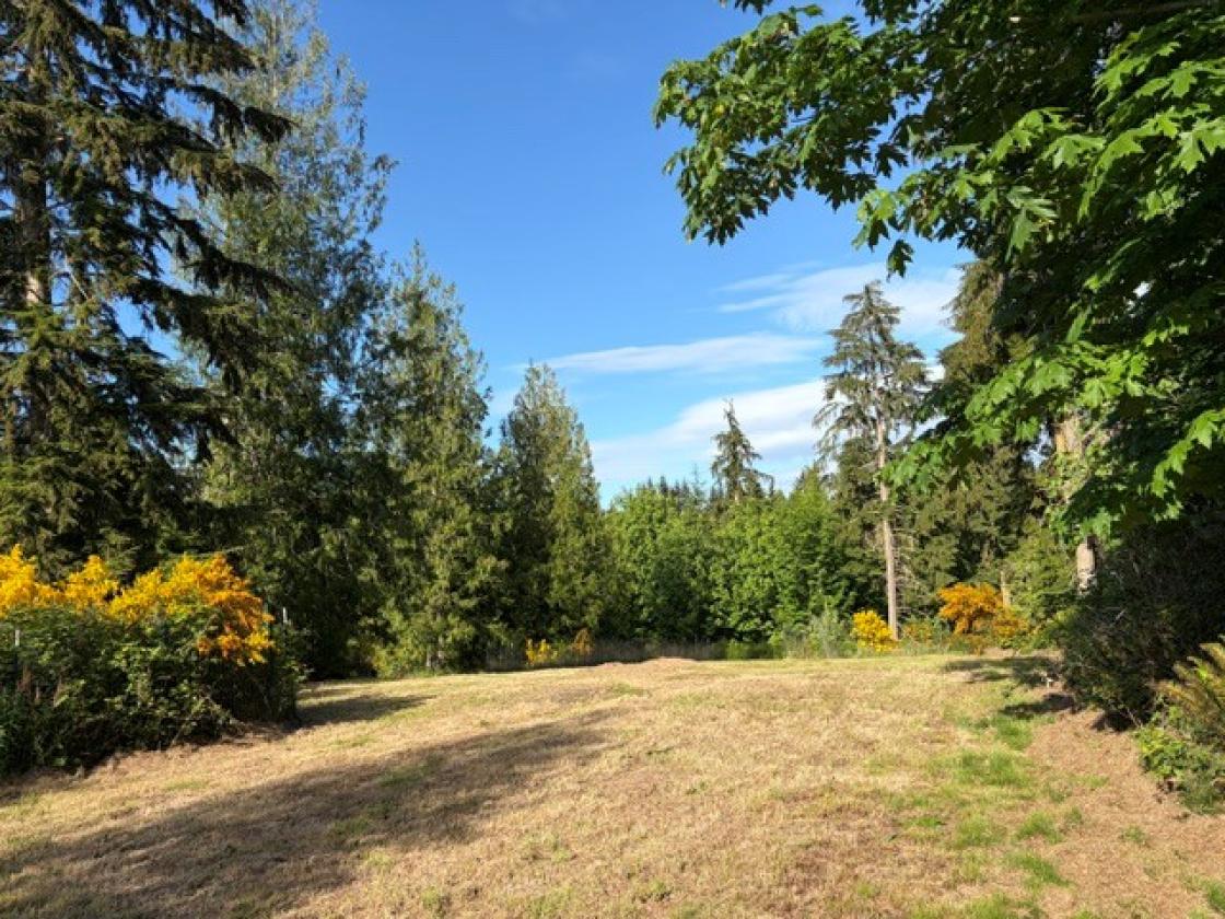 PNW Acreage with trails for Equestrians! - photo 16