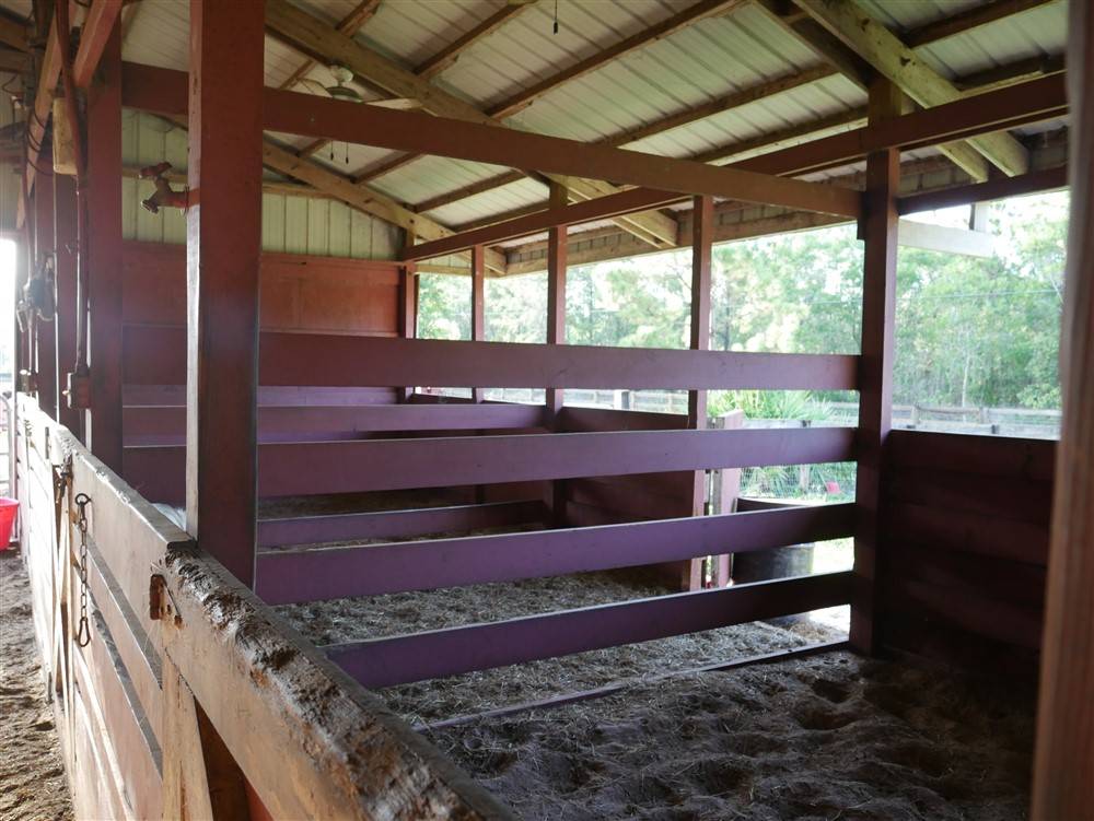 Awesome Property Deal In Caloosa With 8 Stall Barn On... Palm Beach Gardens, Palm Beach County