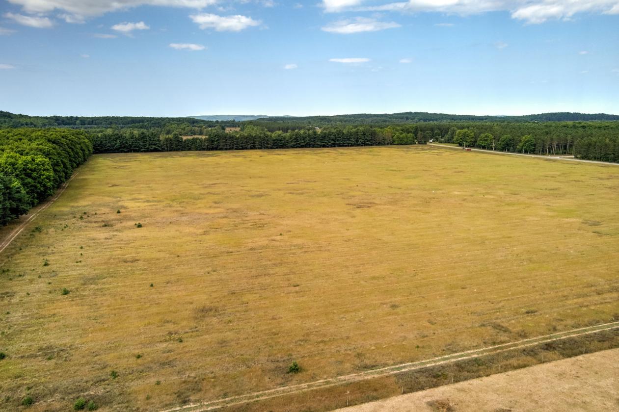 50.20 ACRES – BUILD YOUR EQUESTRIAN ESTATE & FARM - photo 2