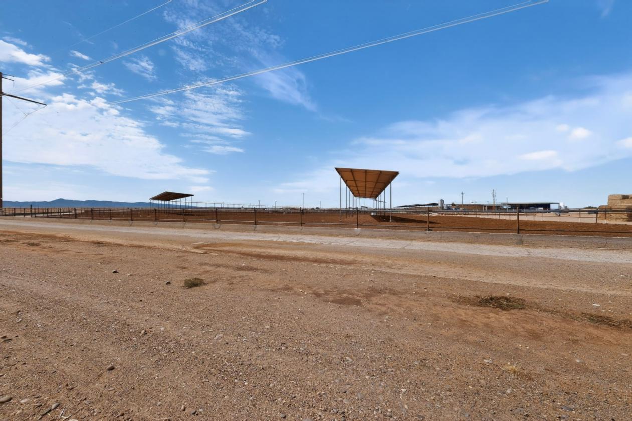 Horse Property/Dairy on 303 Acres - photo 20