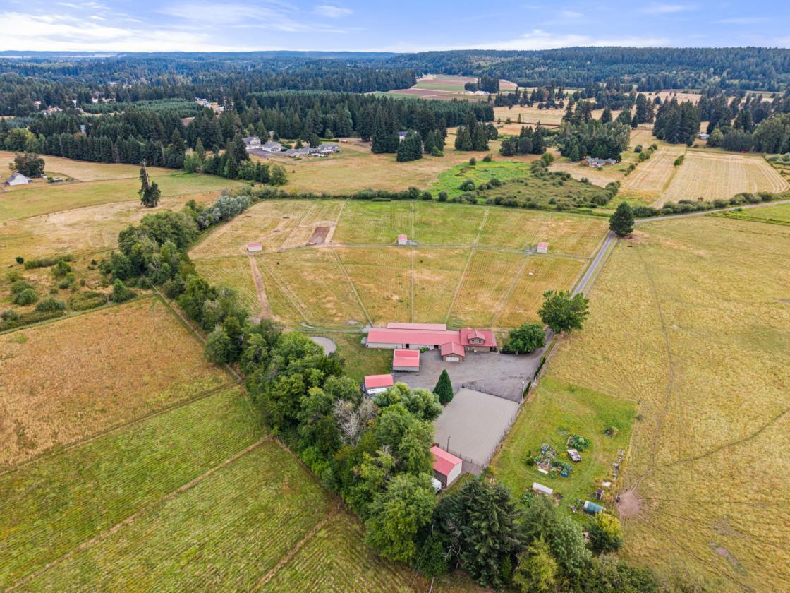 Keystone Ranch in the Evergreen Valley - photo 5