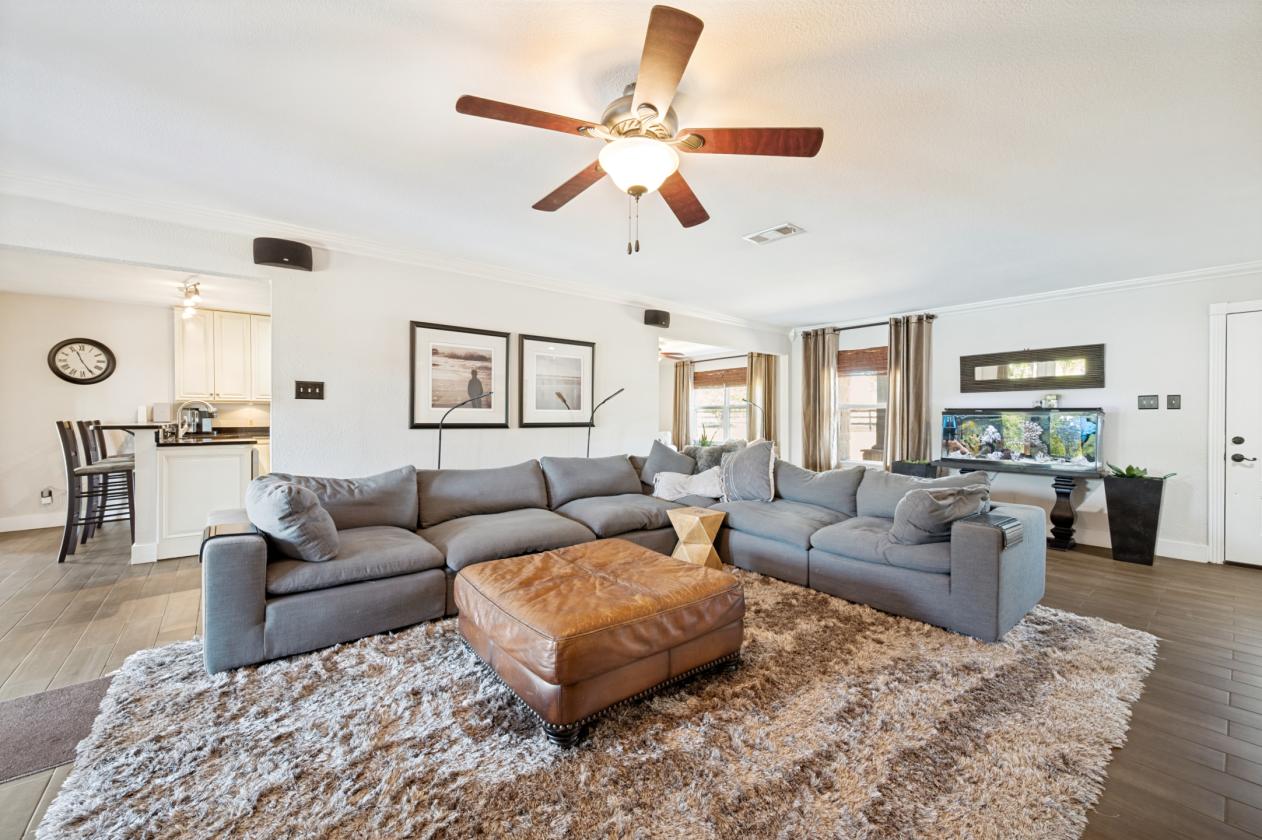 Horse property in the heart of the city - photo 8