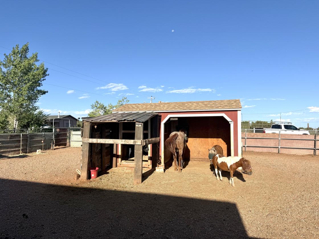 Horse Boarding/ Training Facility 2 Houses - photo 23