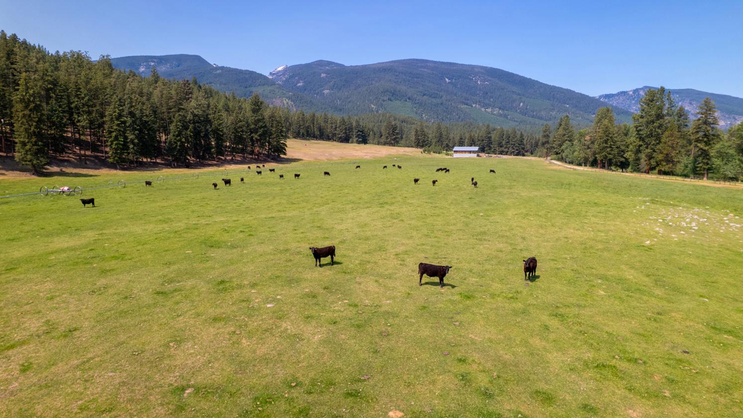 Two Feathers Ranch - photo 5