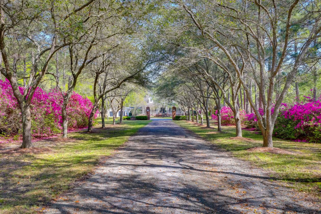 Horse Property for sale.