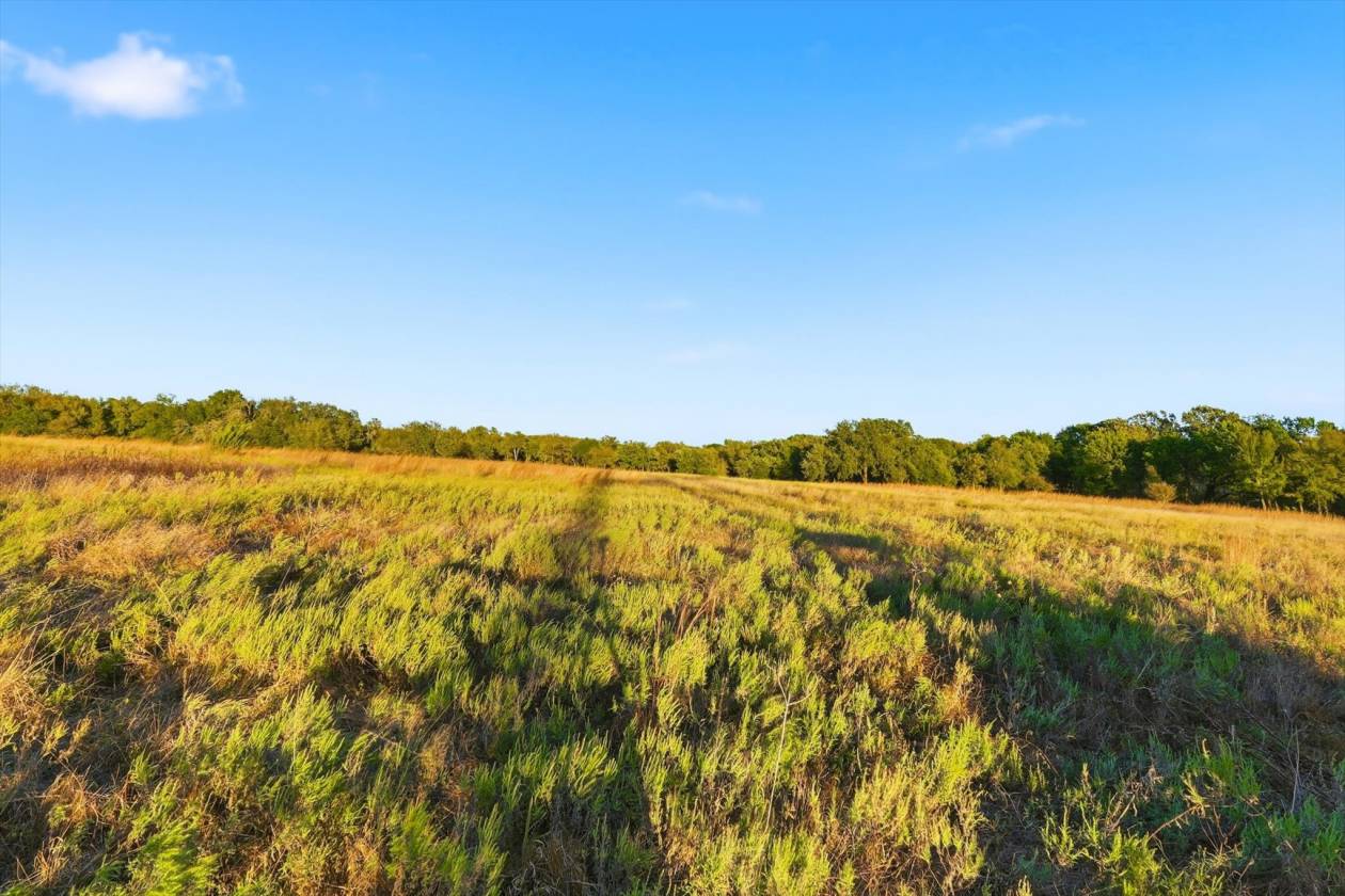 40 Acre Ranchette Near Bluejack Ranch in Aledo ISD - photo 23