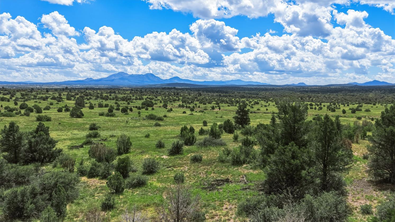 627 Acres in Yavapai County - photo 9