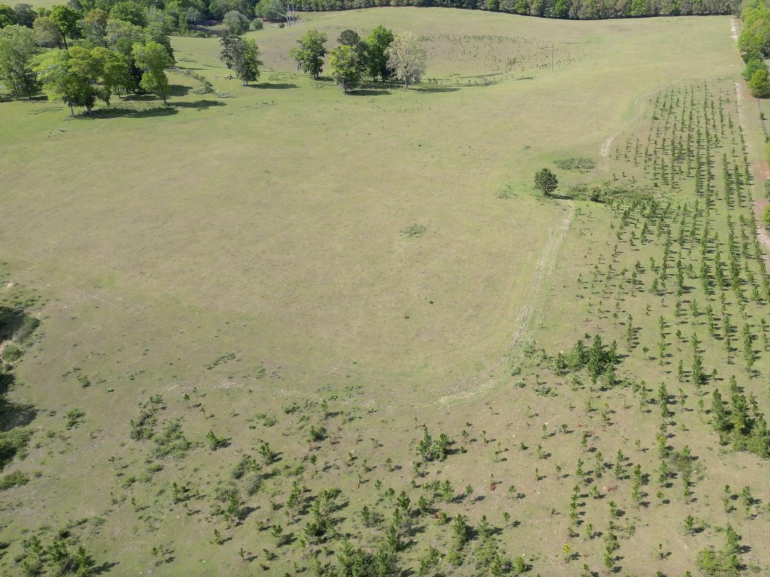 320 prime acres on HIckory Hill, Washington County - photo 13