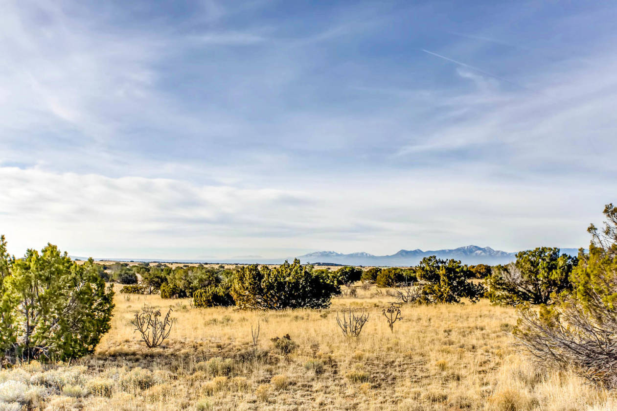 155 VIEW Acres - photo 8