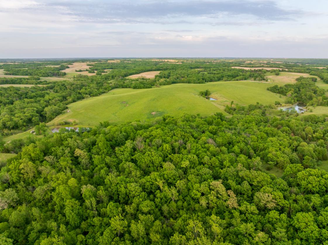 273.5 +/- Acre Turn-Key Cattle and Horse Property - photo 12