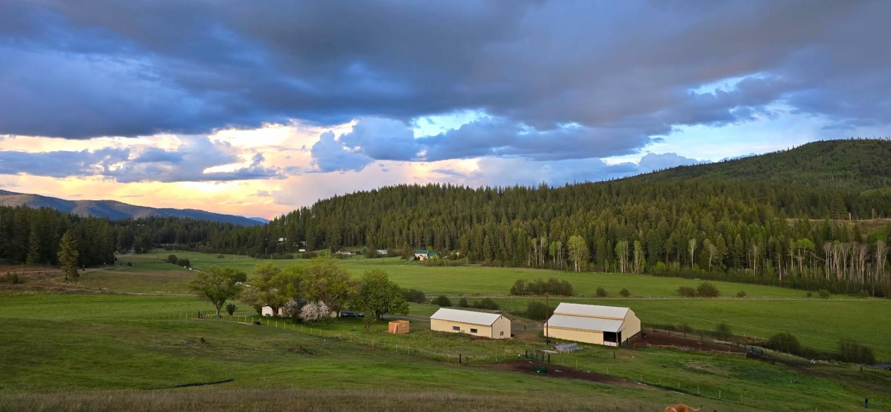 Blanchard Creek Valley - photo 8