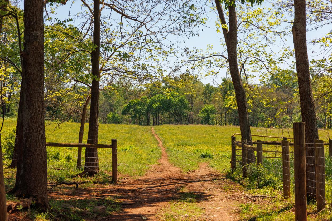 Stunning 1,000+ Acre Equestrian Land - photo 14