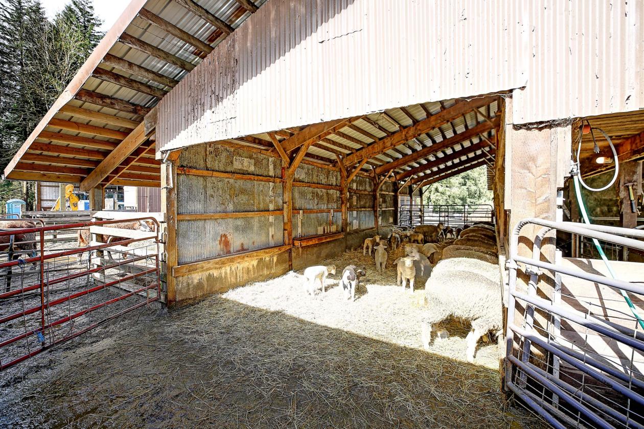Whitehorse Area Farm - 7.61 acres + Arena - photo 19