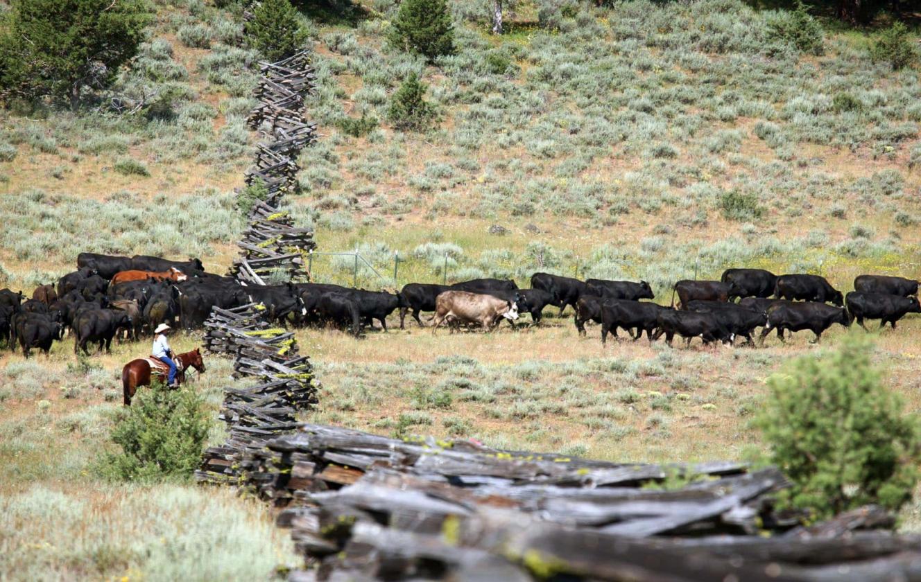 Aspen Ridge Ranch - photo 10