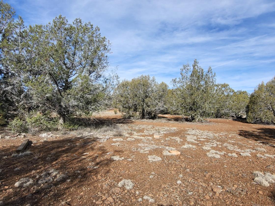 Ranch Ready - Northern AZ - 47.2 Acres - Fenced - photo 20