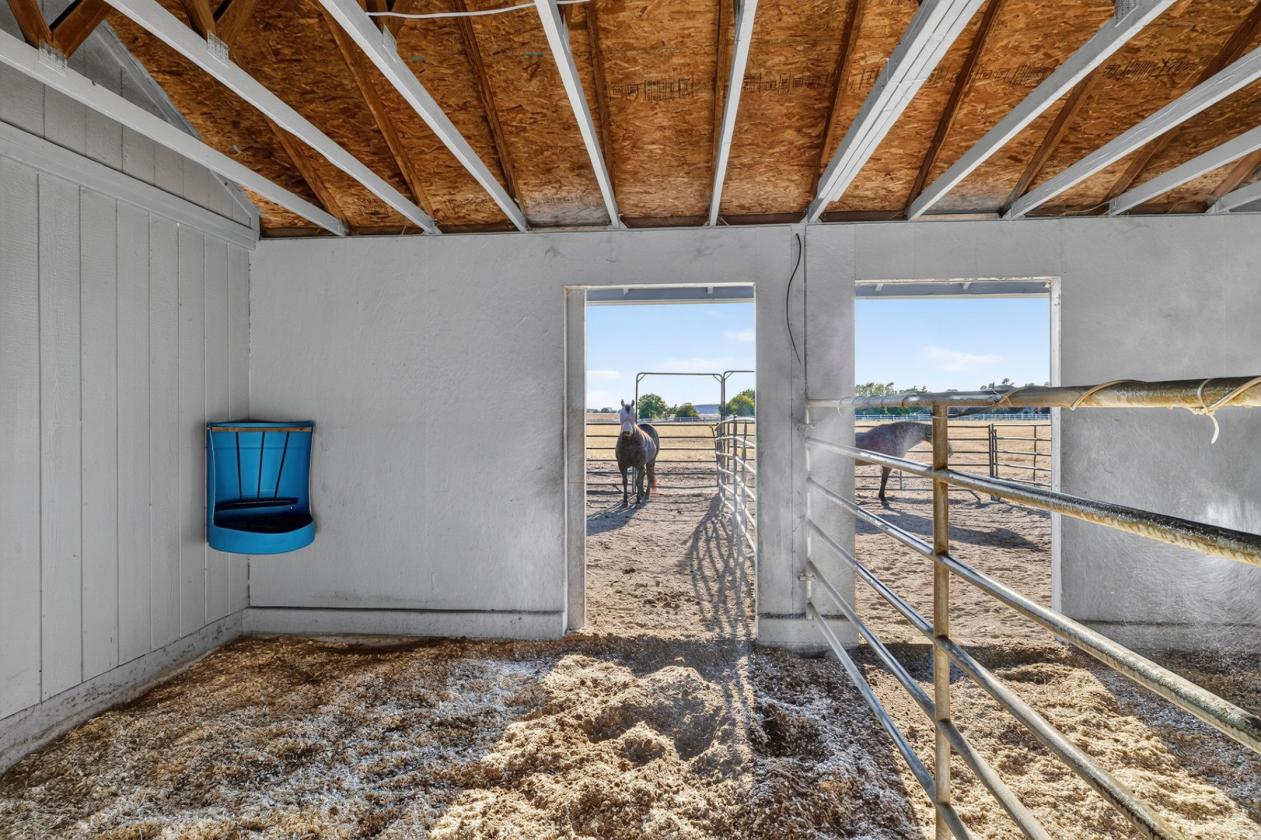 5 acre dream horse property and home! - photo 22