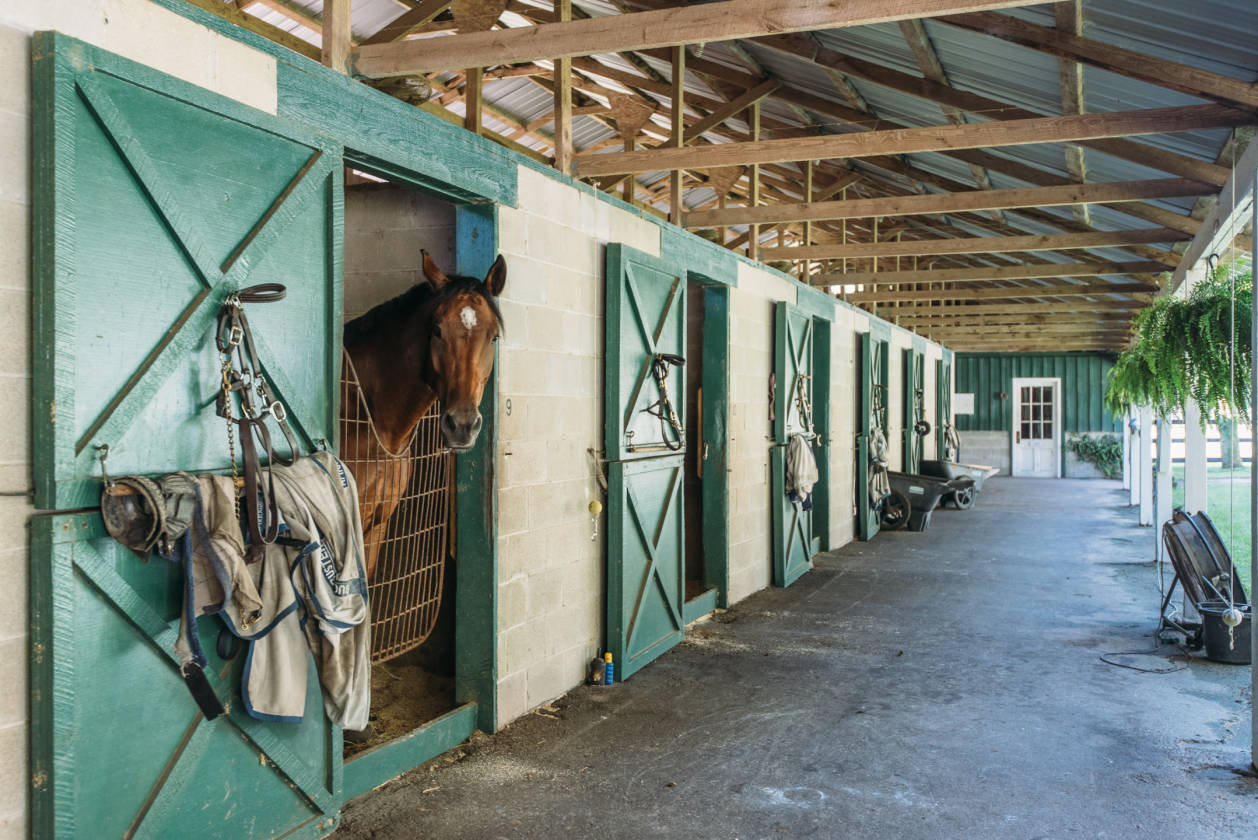 UltraPrivate 18acre Charleston Equestrian Estate Charleston