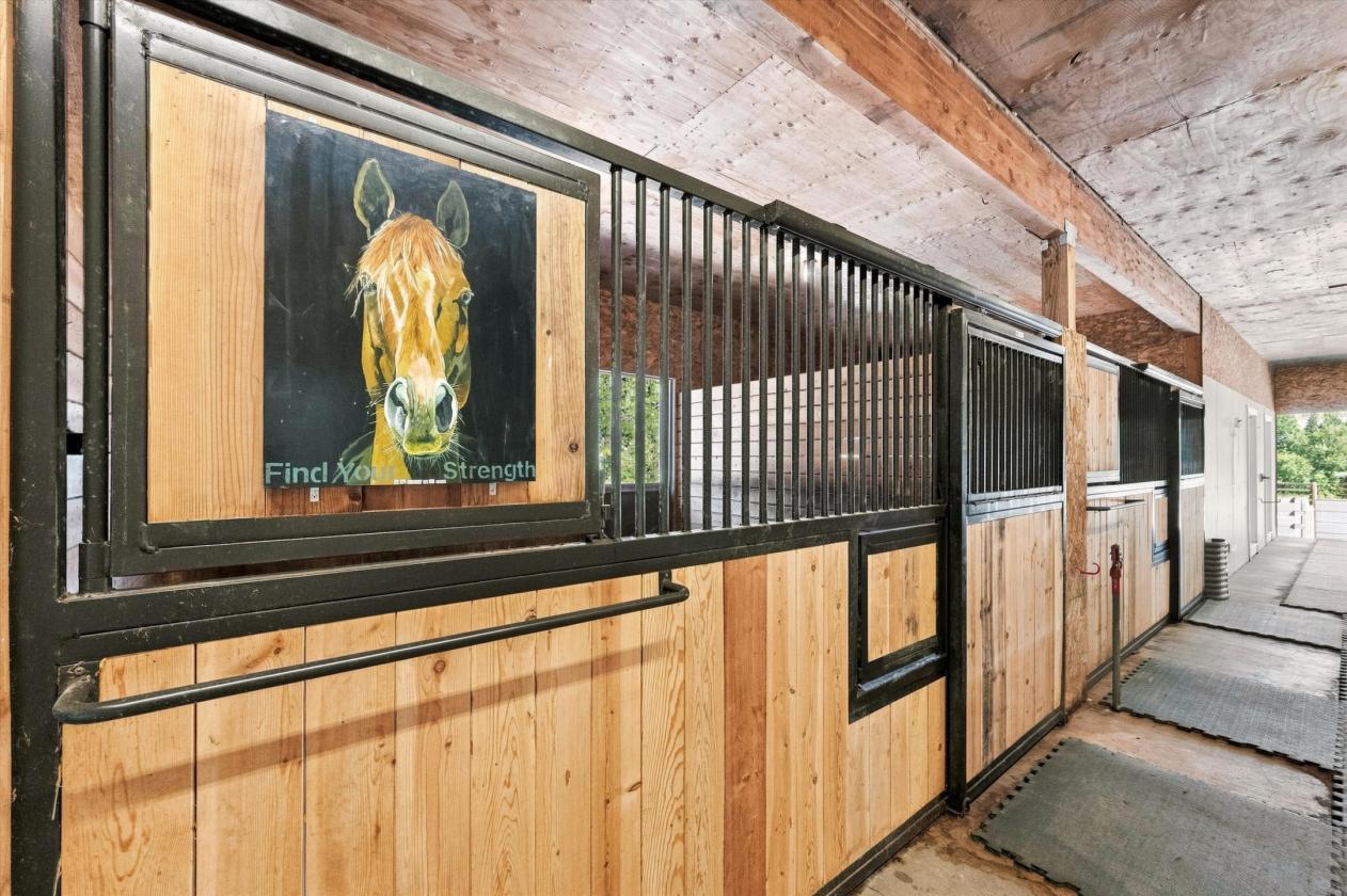 Holistic Horse Farm with All-Weather Arena - photo 26