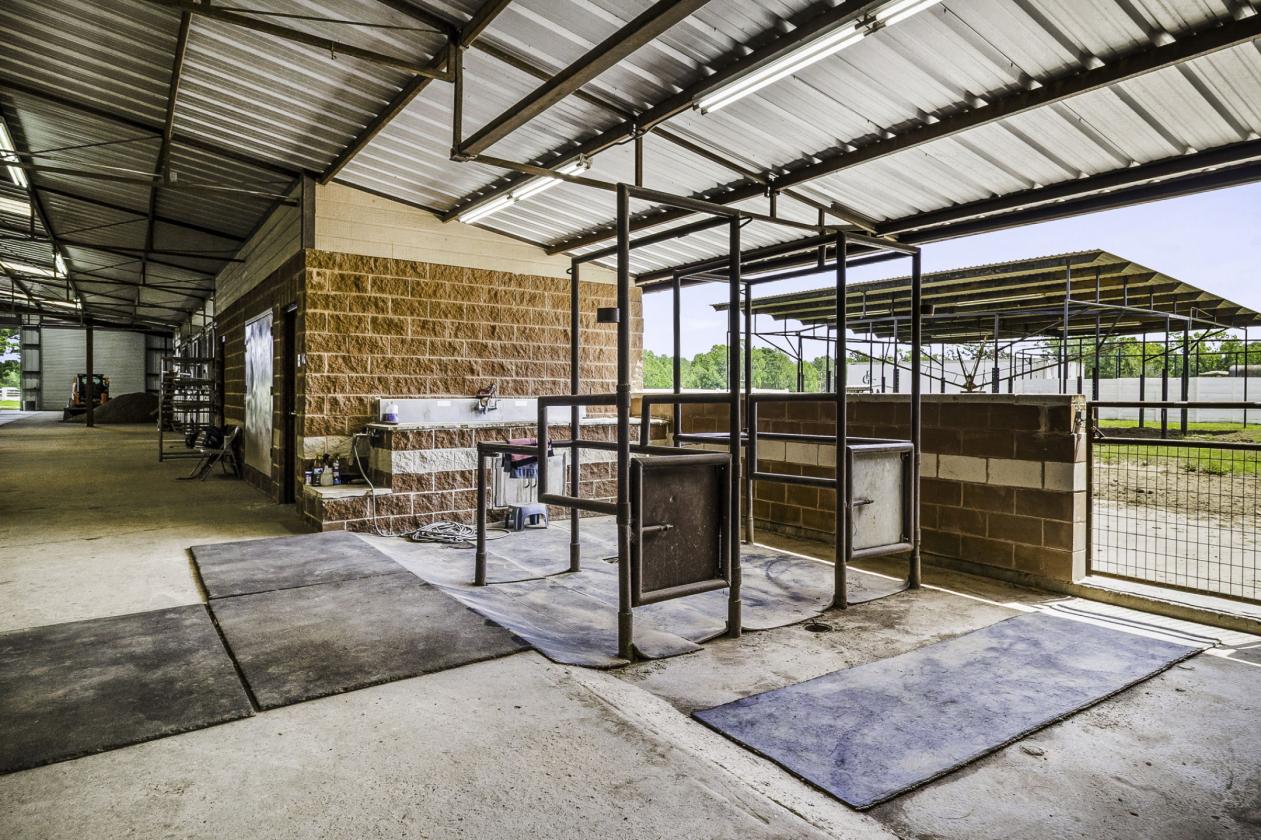 35.14± Acres | Premier Horse Property with Covered - photo 14