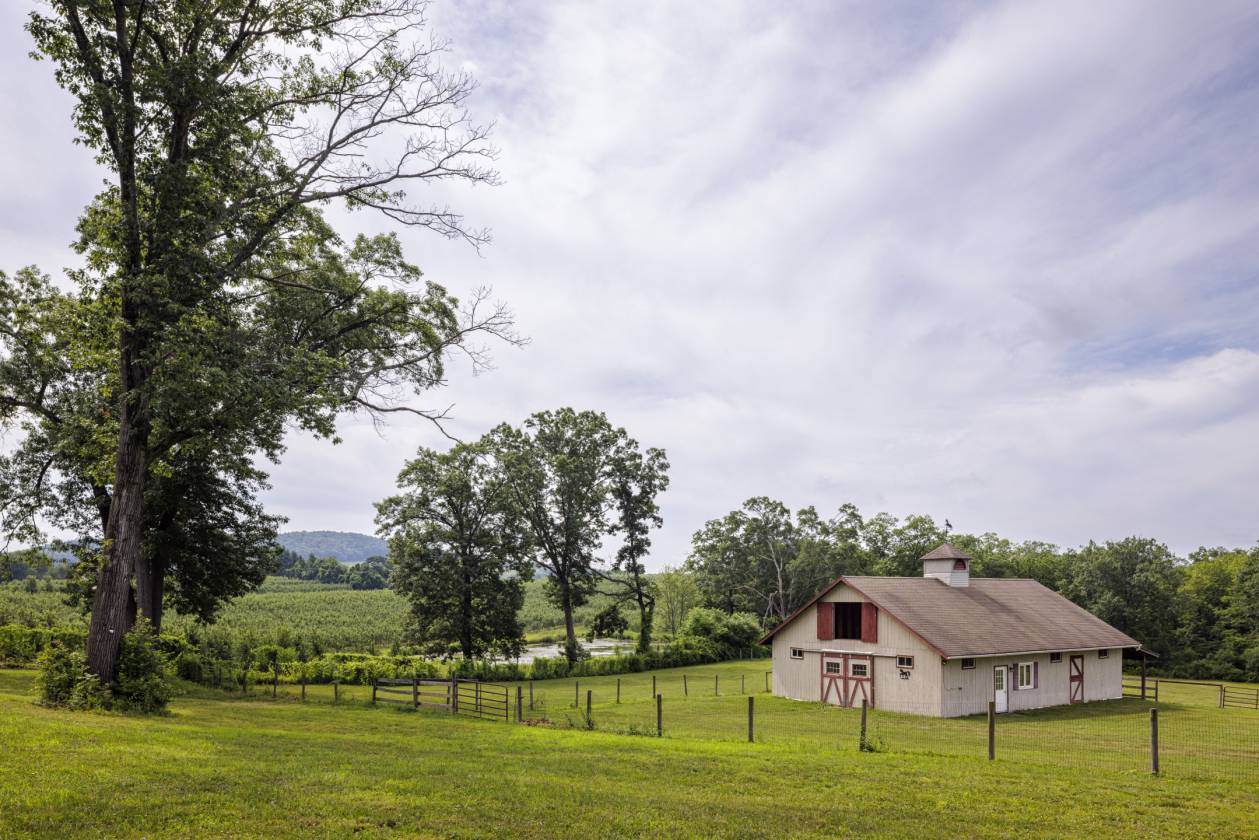 Horse Property for sale.