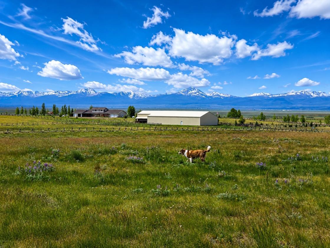 40 Acre Equestrian Property With Heated Arena - photo 6
