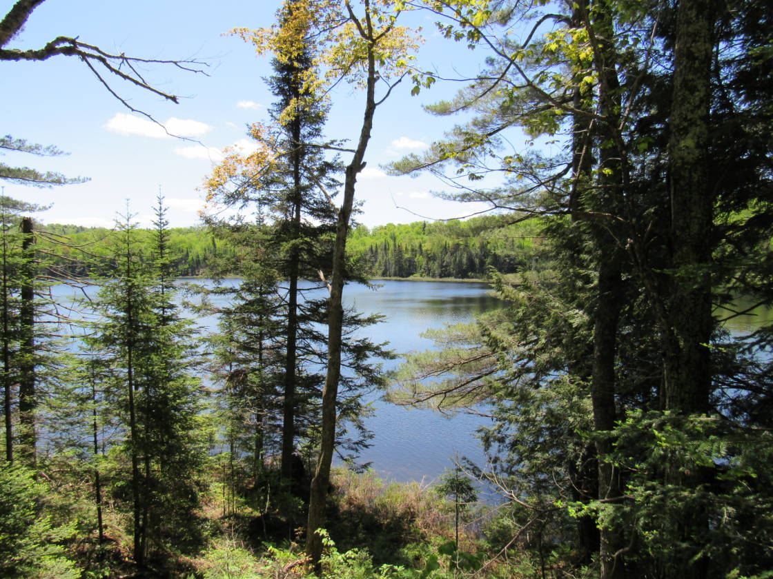 22 ACRE LAKE Eagle Bay, Herkimer County, New York
