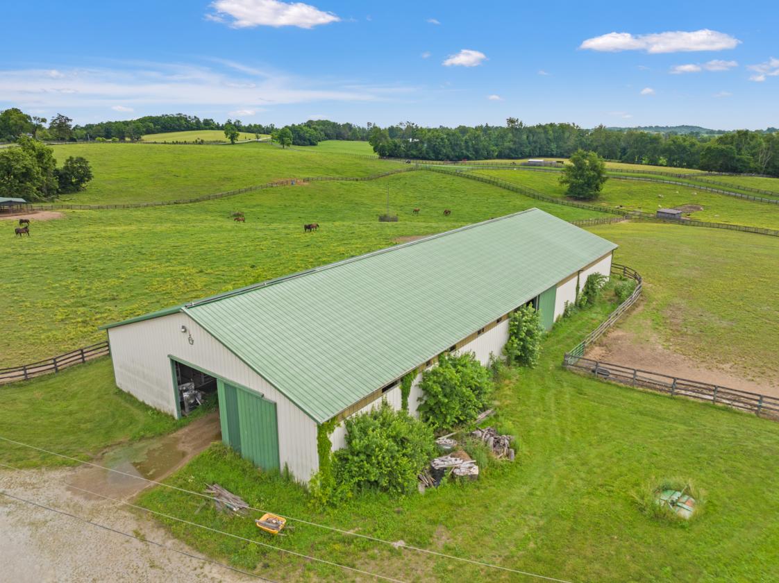 Oak Knoll Meadows Farm - photo 4