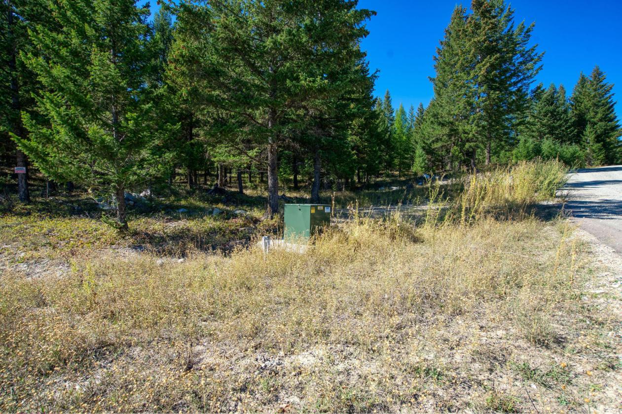 350 Acres & Private Access to MT Forest Service - photo 7