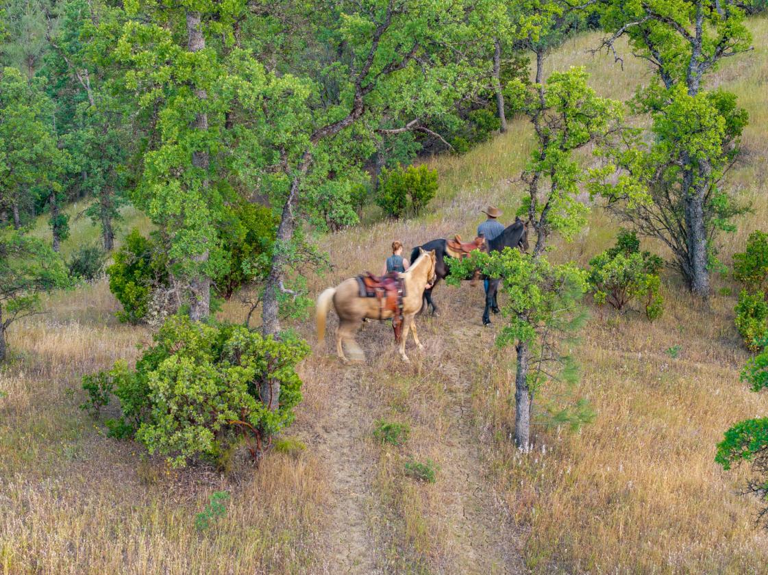 480 Acre Litte Crane Creek Ranch - photo 22