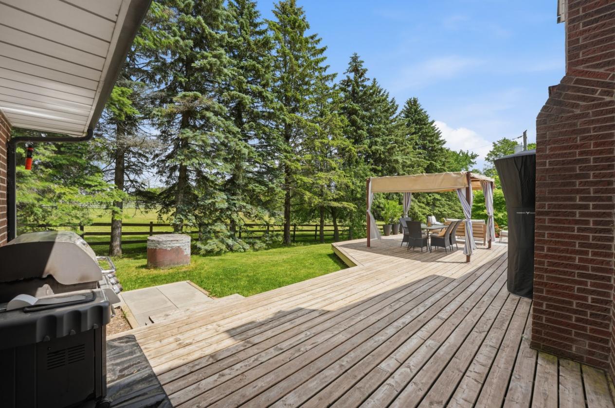 57 Acre Horse Farm With Beautiful Views - photo 26