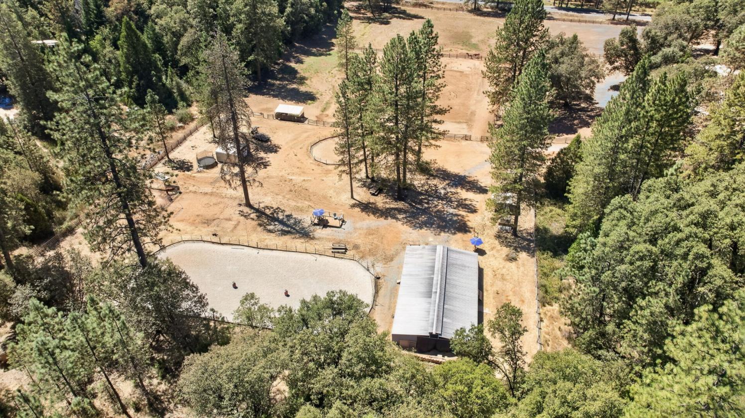 The Equestrian Lifestyle You've Been Waiting For - photo 4