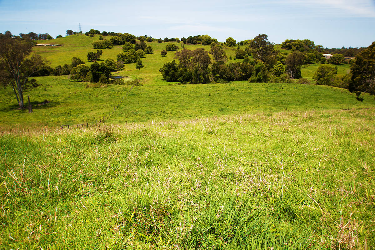 Hobbie Farm For Large Growing Family Close to Nambour CBD! Image Flat