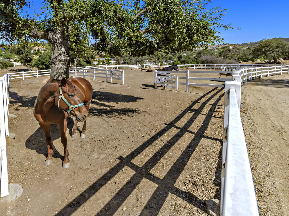 Horse Farm for sale Murrieta, Riverside County, California Horse Ranch