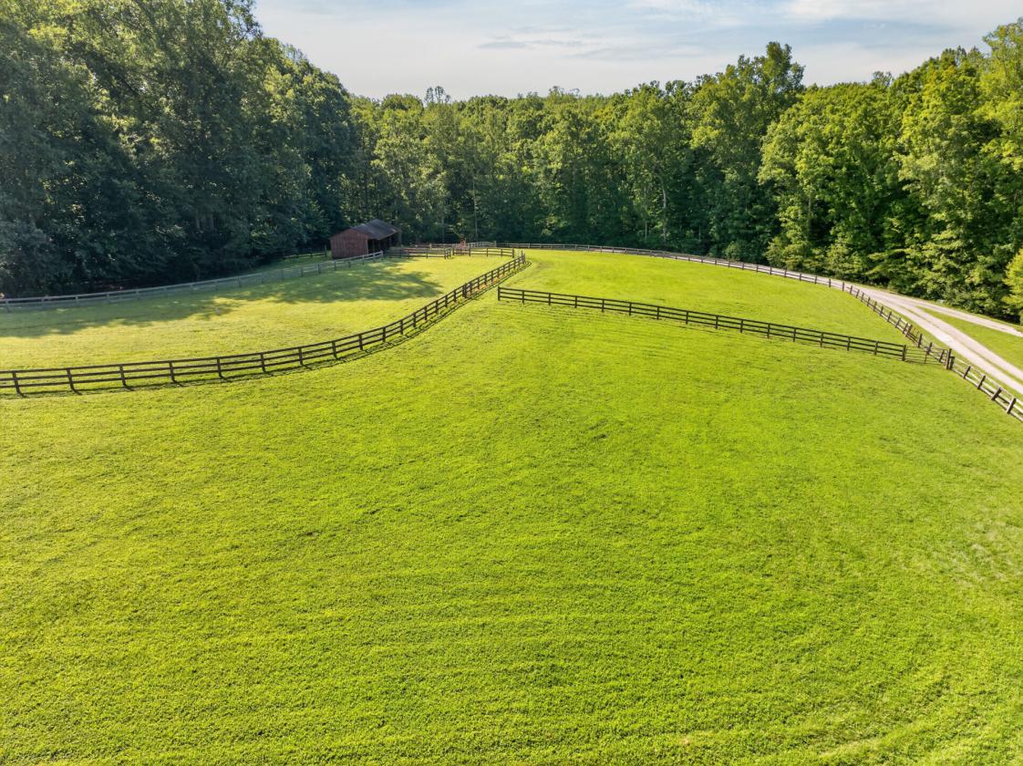 LOOKING for a 36 Equestrian Estate w/ guest house? - photo 23