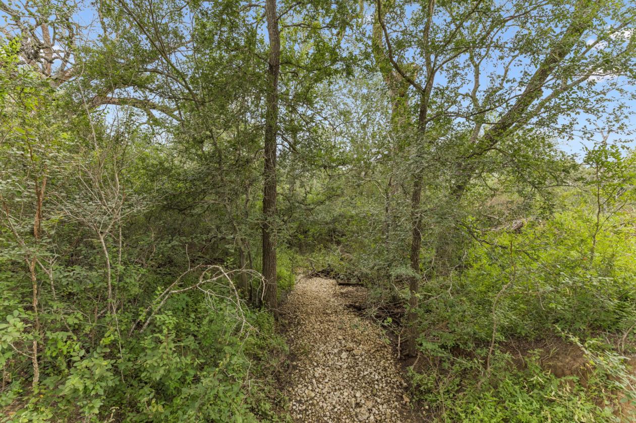 17.43 acres near Saint Hedwig - photo 12