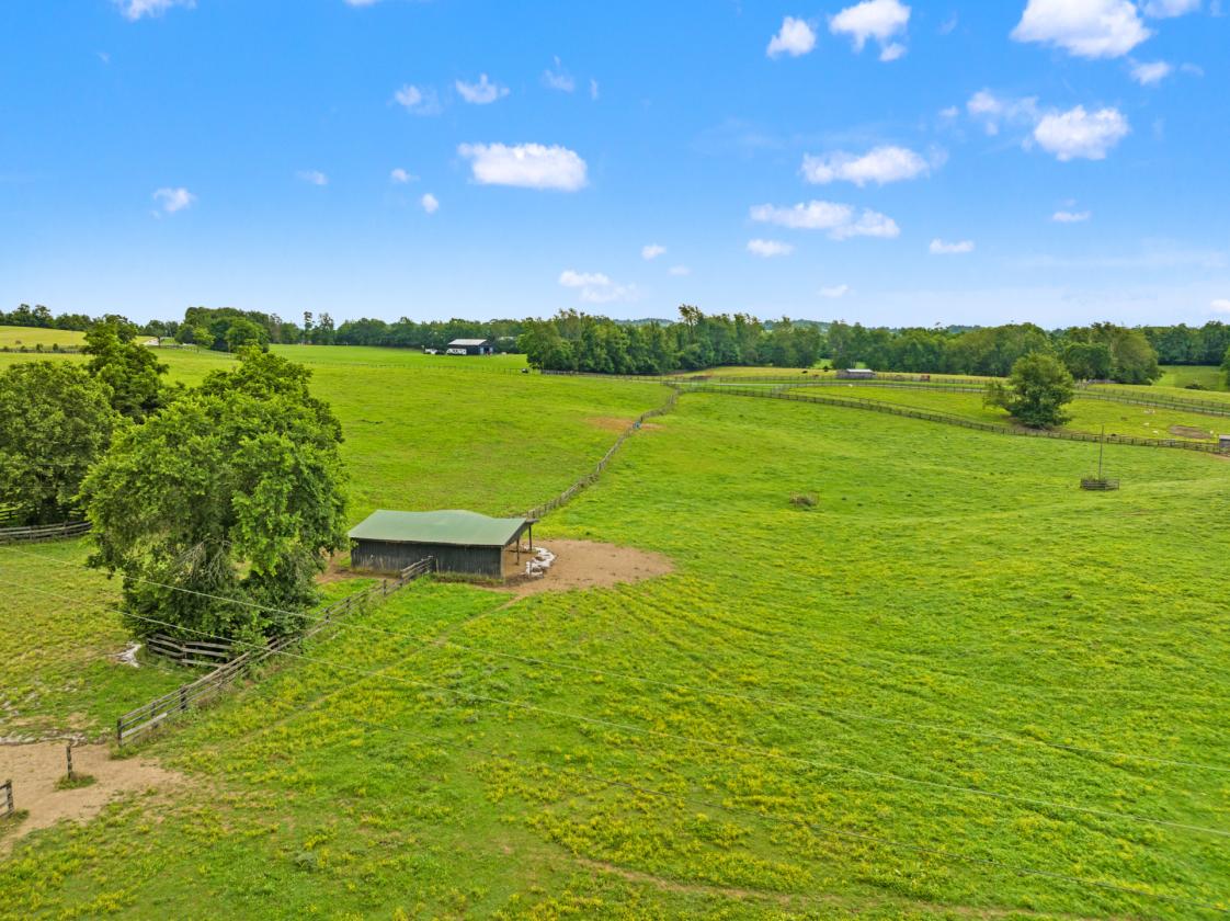 Oak Knoll Meadows Farm - photo 7